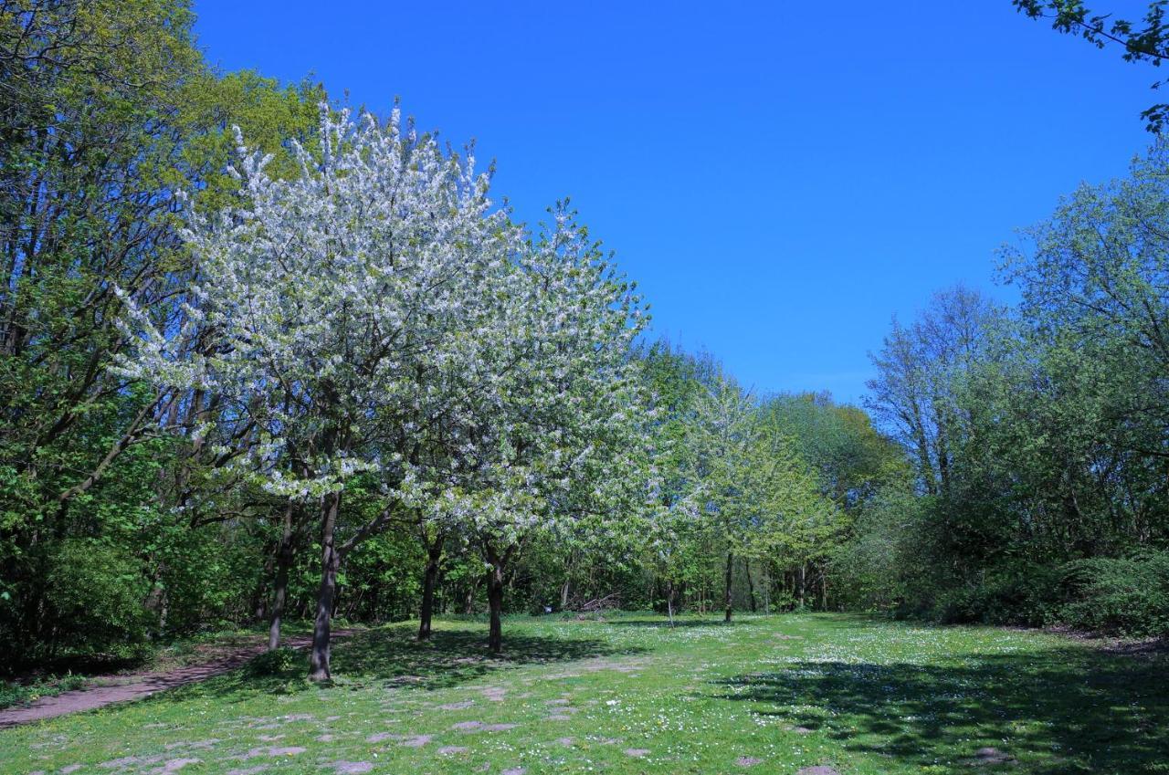Panoramic App B08-9 Daire Sierksdorf Dış mekan fotoğraf